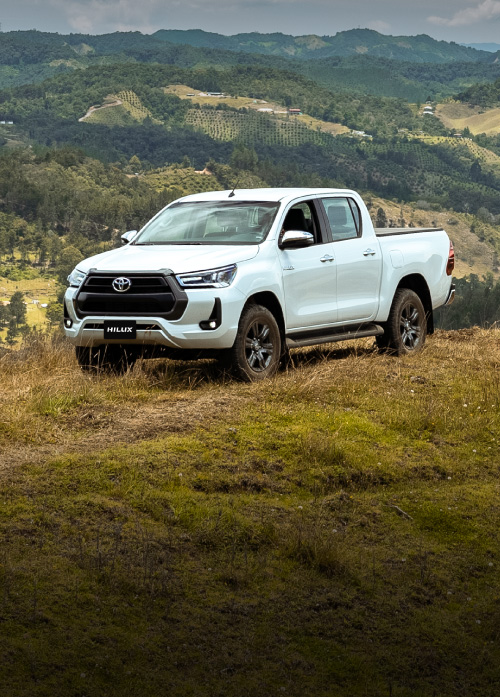 Banner-Hilux-responsive