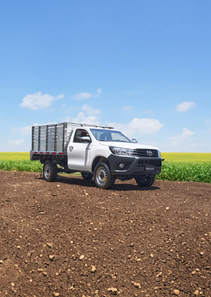 hilux cargo max banner