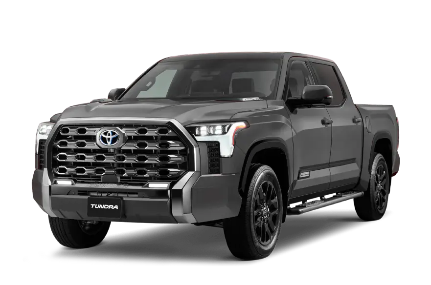 gris metalico tundra
