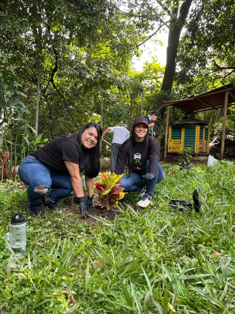 Sostenibilidad Tuyomotor Toyota