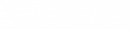 yais ANS-1.png
