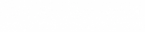 yais ANS-1.png